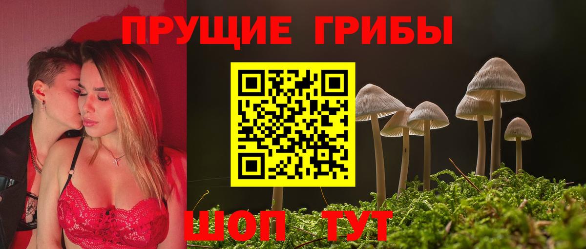 Галлюциногенные грибы GOLDEN TEACHER  Вход с VPN  Топки 